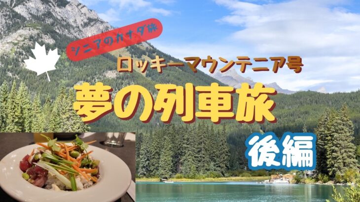 一生に一度の夢の列車旅【後編】想像以上でした