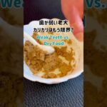 歯が弱い老犬。カリカリはもう限界？ #シニア犬 #犬のいる生活 #老犬介護
