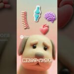 シニア犬と暮らすあなたへ