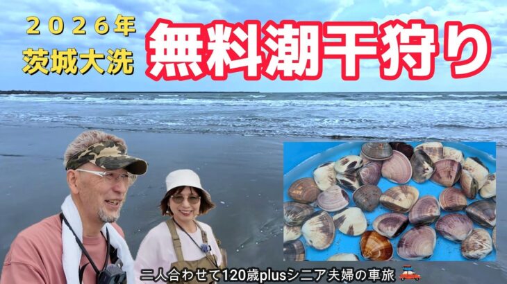 【茨城大洗】シーズン到来!無料で潮干狩り❣️驚きのほぼカニの絶品コロッケ