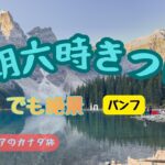 朝６時ツアーは正直きつい….でも一度は訪れたい絶景スポット【バンフ】モレーン湖とルイーズ湖｜シニア目線の正直レビュー