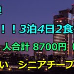 格安シニア旅行！　第４弾　ジジﾊﾞﾁｰﾌﾟ旅　まとめ編