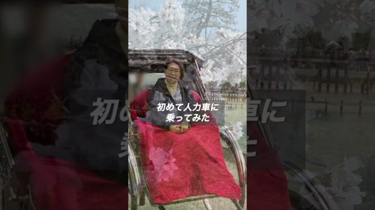 ミステリーツアーバスで京都嵐山へ #シニアvlog #ひとり旅