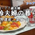 【yuuの家事ライフ】シニア年金生活、８０歳７７歳夫婦、高齢夫婦の暮らし、世界遺産二条城でお花見