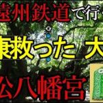 樹齢1000年国宝級【浜松八幡宮行き方】徳川家康｜シニア世代が旅を楽しむ情報を提供します　チケットの買い方、電車の乗り方など旅慣れていない人にとって嬉しい情報です