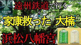 樹齢1000年国宝級【浜松八幡宮行き方】徳川家康｜シニア世代が旅を楽しむ情報を提供します　チケットの買い方、電車の乗り方など旅慣れていない人にとって嬉しい情報です