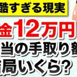 【年金の現実】年金月12万円の手取り額！税金、保険料はどのくらい天引きされる？驚きの手取り額とは？【年金だけで生活費足りる？】