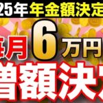 🪭 【超速報】2025年の年金支給額は＋○万円！前年度よりも増額します！🪭