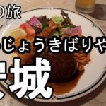 【ナイスなシニアの日帰り旅＠安城】愛知県安城市（2026年05月11日）