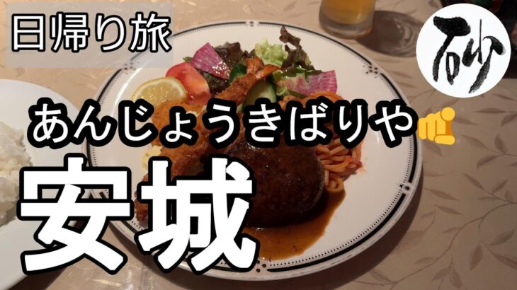 【ナイスなシニアの日帰り旅＠安城】愛知県安城市（2026年05月11日）