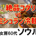 【韓国旅行2026】地元民熱愛コダリvsミシュラン冷麺爆食！南山タワー/広蔵市場チャメッチユッケを巡るソウル夫婦旅 Vlog EP.2（景福宮近コダリ専門店/ピルドン冷麵）