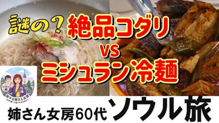 【韓国旅行2026】地元民熱愛コダリvsミシュラン冷麺爆食！南山タワー/広蔵市場チャメッチユッケを巡るソウル夫婦旅 Vlog EP.2（景福宮近コダリ専門店/ピルドン冷麵）