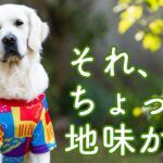 若返ろう｜シニアこそ派手な色を | 3つの効果