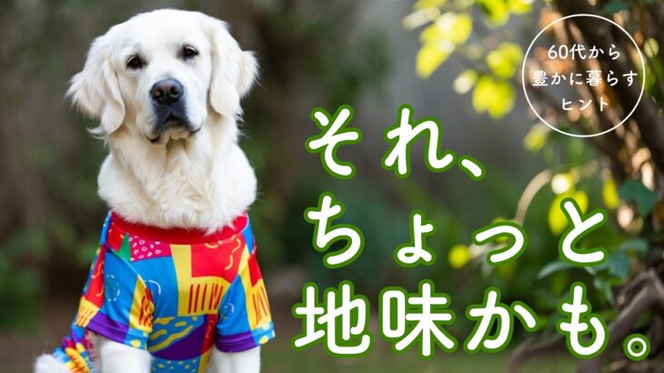 若返ろう｜シニアこそ派手な色を | 3つの効果