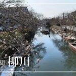 【福岡旅】柳川/グルメと歴史と可愛いを味わう/川下り（お堀めぐり）が楽しい/博多グルメも満喫/50代/60代/シニア旅/大人旅