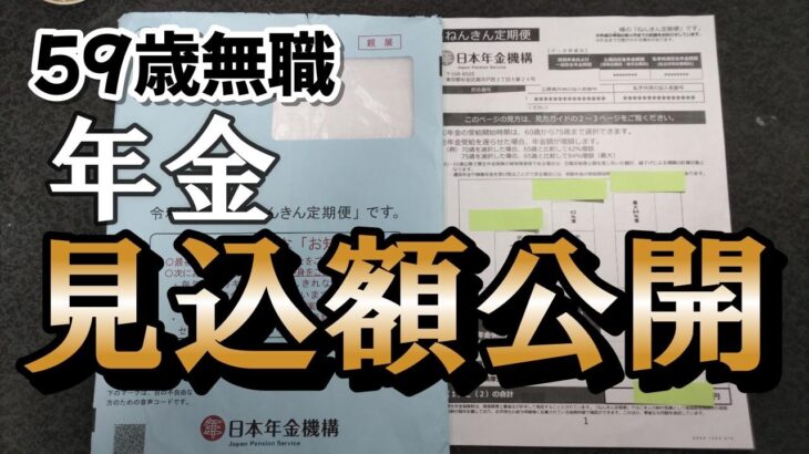 【この年金額で老後・・無理です。】青い封書のねんきん定期便。見込額公開！59歳無職の厳しい年金の現実。