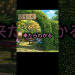 年金5万円の夕方、天井を見ていた人たちが集まる庭【人生の庭TV】