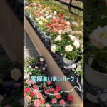 宝塚あいあいパーク🌷 #シニアライフ #60歳代 #旅行 #宝塚 #vlog