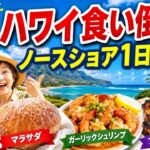 【60代夫婦旅】ハワイ食い倒れ！ノースショア1日ツアーが最高すぎた