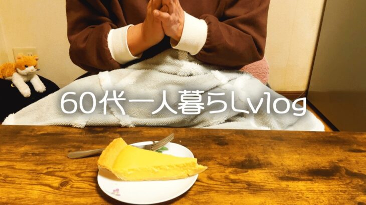 【60代一人暮らし】満身創痍/風呂場で転倒して怪我しました/コストコパーティー【シニアライフ】#299