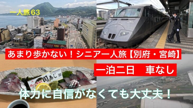 【一人旅63】あまり歩かない！シニア一人旅　別府宮崎編