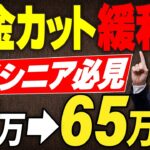 【年金カット緩和】働くシニア必見！在職老齢年金65万円の壁を社労士が解説