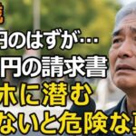 75歳年金暮らし、身に覚えのないクレジットカード請求80万円、カード情報を一度入力すると何が起こるのか？原因はまさかの…【シニア老後】