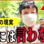 【年金いくら？】76歳 主婦「老後夫婦の年金生活の現実、夫は公務員で年金も手厚いけど   」年金インタビュー