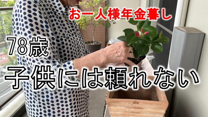 【シニアついやり過ぎる78歳】シニアに無理は禁物とわかっているけれど　　夫急逝　お一人様　年金生活