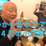 【81歳おとさん】おとさんとゆかいなシニアの小田原3泊4日です。