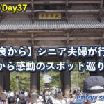 【奈良から】シニア夫婦が行く！Day2興福寺から感動のスポット巡り🦌 vlog.wfp