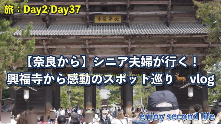 【奈良から】シニア夫婦が行く！Day2興福寺から感動のスポット巡り🦌 vlog.wfp