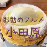 神奈川グルメ・シニア二人旅【小田原駅近でグルメと観光を楽しむ】今回はJR小田原駅近辺でグルメやちょっとの観光を楽しんだ動画となります。ご視聴よろしくお願いいたします