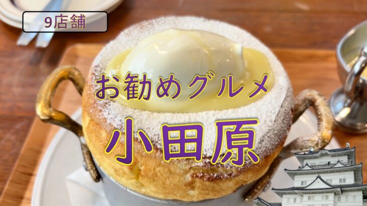 神奈川グルメ・シニア二人旅【小田原駅近でグルメと観光を楽しむ】今回はJR小田原駅近辺でグルメやちょっとの観光を楽しんだ動画となります。ご視聴よろしくお願いいたします