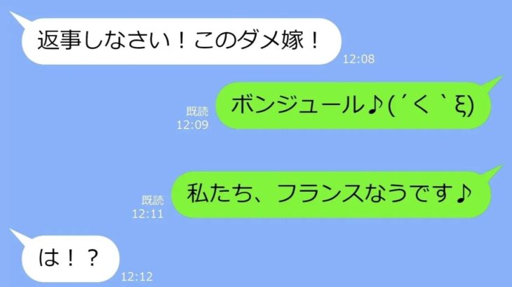 【LINE】新婚旅行に同行してきた迷惑シニアの義母→ヤバすぎたので置き去りにして帰国してからの→衝撃の事実をDQNに告げた時の反応がｗ【総集編】