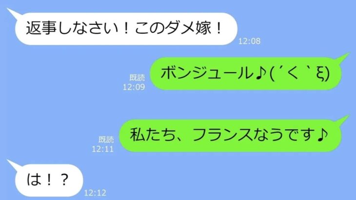 【LINE】新婚旅行に同行してきた迷惑シニアの義母→ヤバすぎたので置き去りにして帰国してからの→衝撃の事実をDQNに告げた時の反応がｗ【総集編】