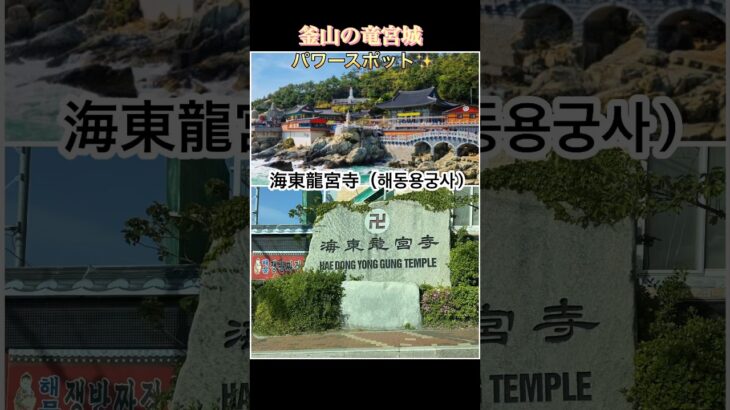 #釜山 #パワースポット #海東龍宮寺 #해동용궁사　#shorts #シニア旅