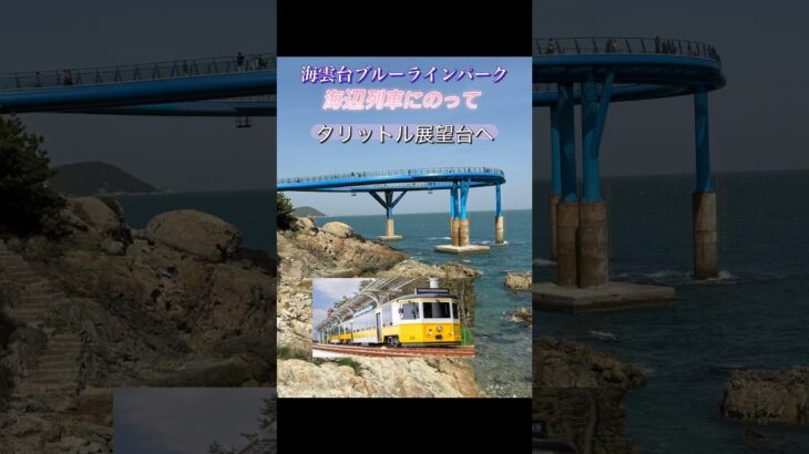 #青沙浦 #タリットル展望台 #청사포다릿돌전망대　#釜山旅行 #シニア旅 #shorts