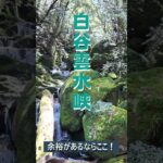 【屋久島観光】初めての屋久島ならここ！世界自然遺産を楽しむ♪ #屋久島 #旅行 #サンカラ屋久島 #夫婦旅  #シニア