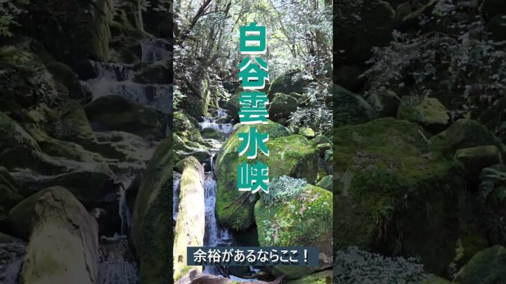 【屋久島観光】初めての屋久島ならここ！世界自然遺産を楽しむ♪ #屋久島 #旅行 #サンカラ屋久島 #夫婦旅  #シニア