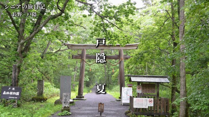 戸隠　夏　思い出写真館　シニアの旅日記