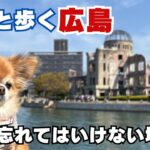 楽しいだけじゃない旅でした/広島でシニア夫婦が感じたこと