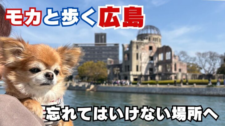 楽しいだけじゃない旅でした/広島でシニア夫婦が感じたこと