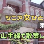 シニアおひとり様サリー❀おんなひとり旅❀東京編