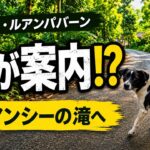 シニアになって旅に出たら、犬が案内してくれた｜ラオスひとり旅 シニアになって旅に出る　(旅・トレイル・ジョグ・バイク)