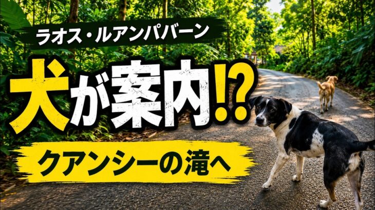 シニアになって旅に出たら、犬が案内してくれた｜ラオスひとり旅 シニアになって旅に出る　(旅・トレイル・ジョグ・バイク)