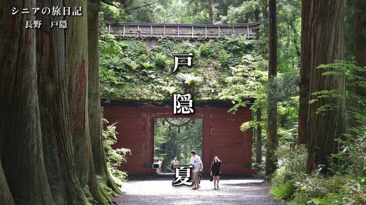 戸隠　夏　思い出写真館　シニアの旅日記