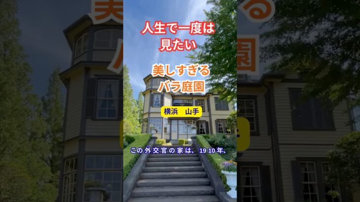【横浜・山手】人生で一度は見たい「美しすぎるバラ庭園」#シニア世代の旅#シニア#旅行好き#横浜