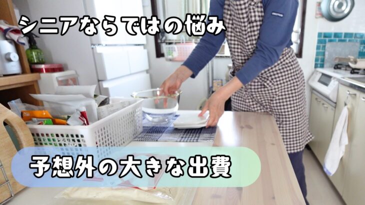 【シニアのお金の使い方】暮らしを守るために必要だった出費