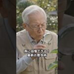 知らないと損？スマホを「かざすだけ」で名前がわかる！物知り相棒と歩く最新お散歩術